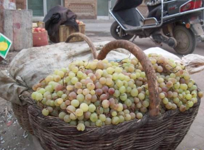 喀什特产：葡萄